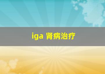 iga 肾病治疗